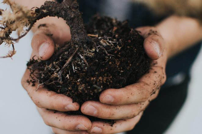 Hans holding soil