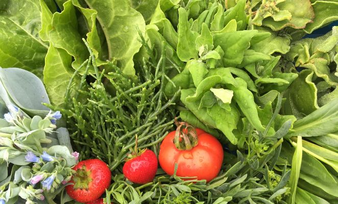 A collection of green and red fresh vegables.