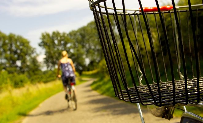 A cyclist in a green landscape.