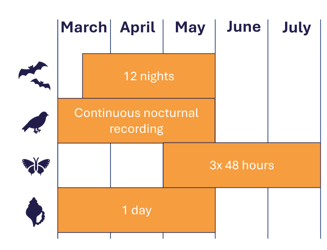 Figure 3 Overview of monitoring periods per species