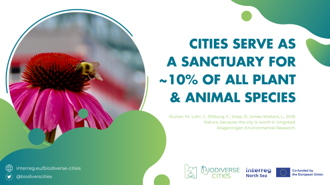 Biodiverse Cities facts 10.png