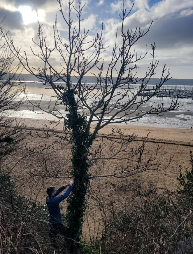 Installing acoustic device for birds in Brest