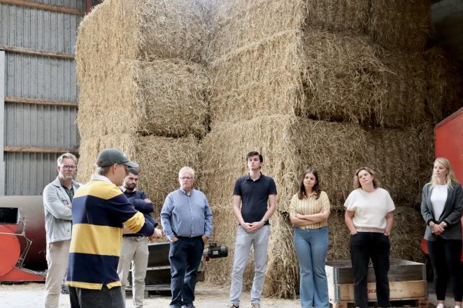 standing in a straw barn