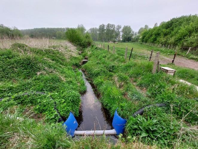 Temporary trap Schellebellebeek