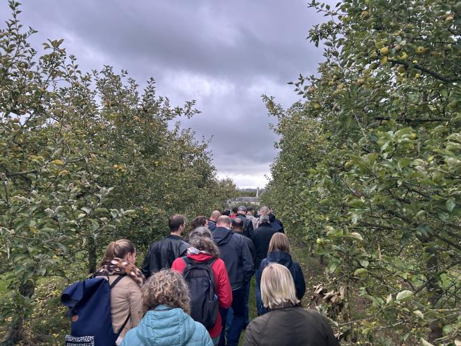 Visit orchard