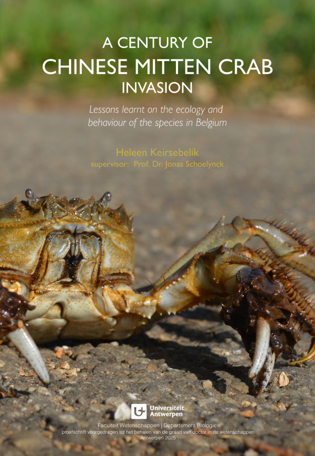 A century of Chinese mitten crab invasion