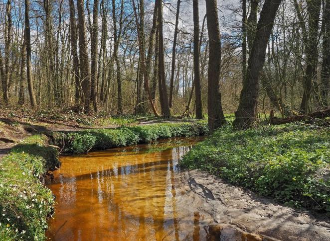 phot_pilot_anlordiepje_2025