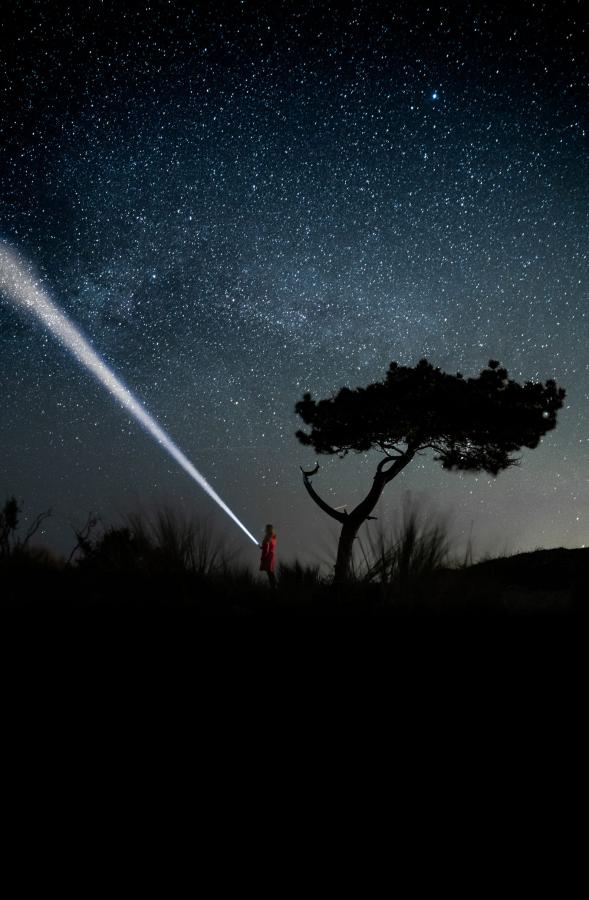 Dark sky at Lauwersmeer