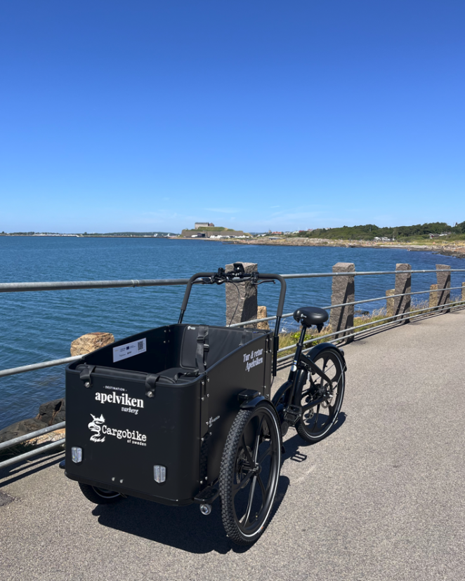 The pictures shows a black cargo bike. The sea is in the background