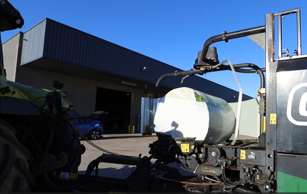 Large scale sweet pepper