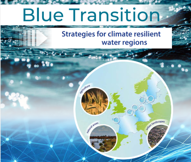 banner blue transition project recommendations