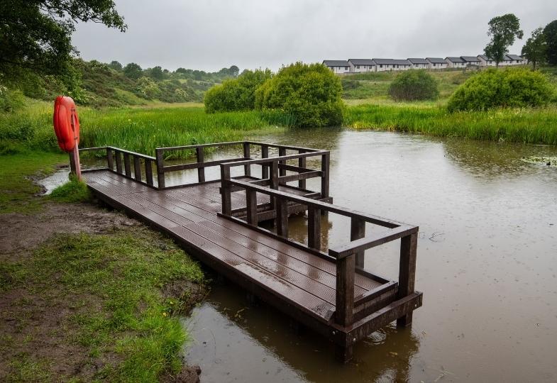 A pond with a wooden platfom and a lifebuoy, set in a green landscape.