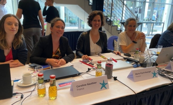 The French delegation at the Monitoring Committe meeting no. 1.