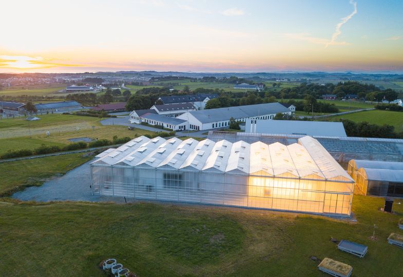 Large greenhouse set in a green landscape at dawn, with bright lights inside