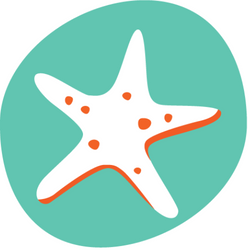 A white starfish with orange dots on a green background