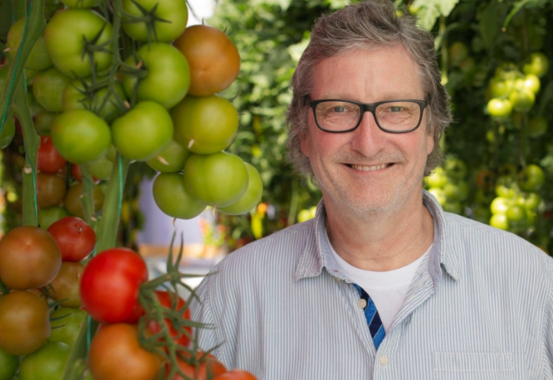 Close-up photo of Michel Verheul next to a cluster of tomatoes.