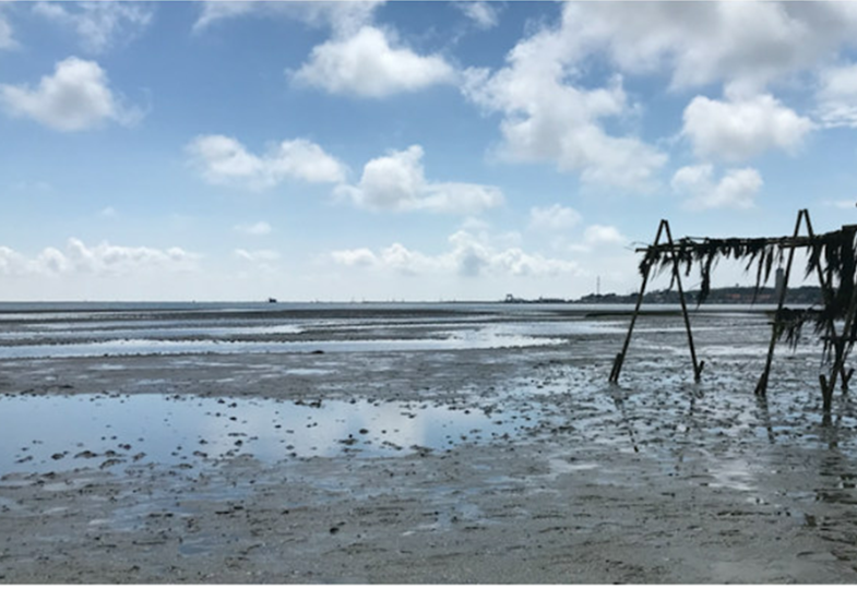 Picture from the Wadden Sea