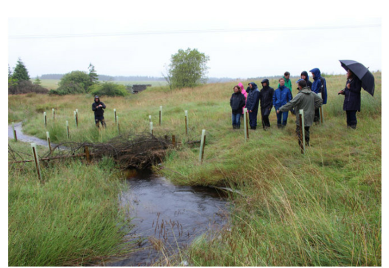 Group of people watching a stream flowing through a green landscape