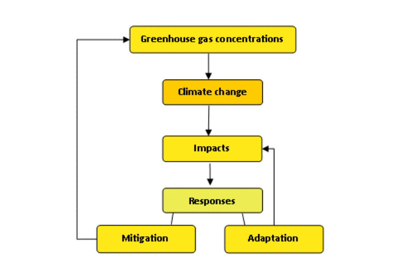 Diagram showing difference between climate mitigation and adaptation.