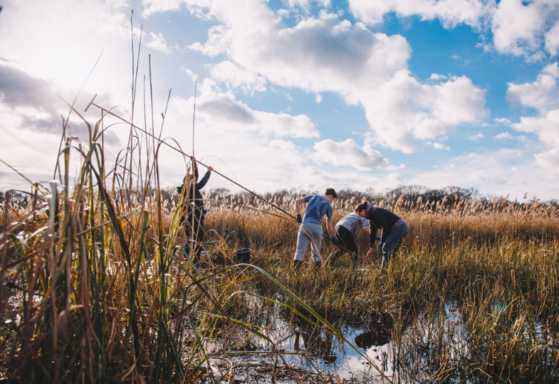 Canape working in peatlands