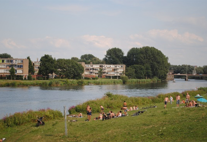 Wantij Zone of Dordrech