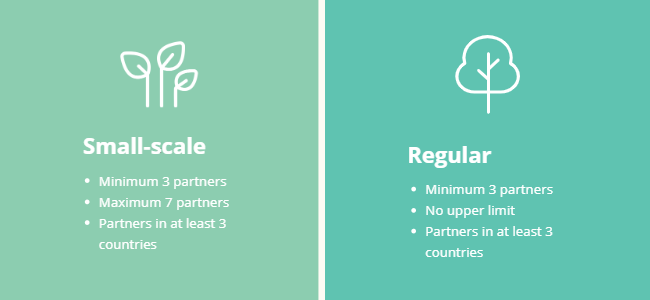Infographic showing the difference in partnership size between small-scale and regular projects.