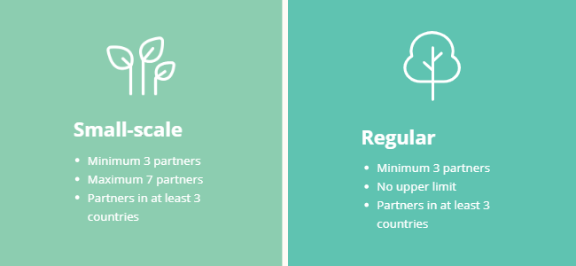 Infographic showing the difference in partnership size between small-scale and regular projects. 