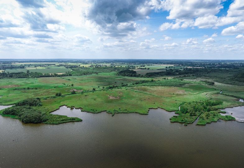 A vast area of peatland with open water and a cloudy blue sky.