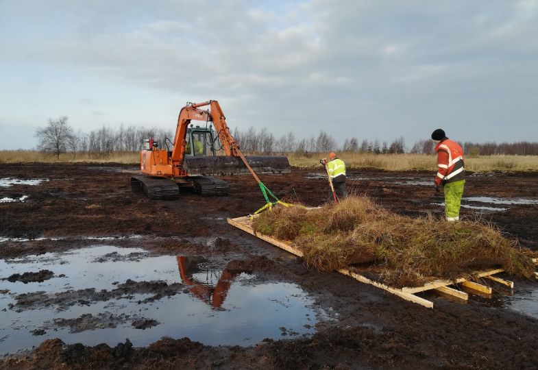 A large machine hauling peat turf onto a restoration site, surveilled by a man wearing safety gear.