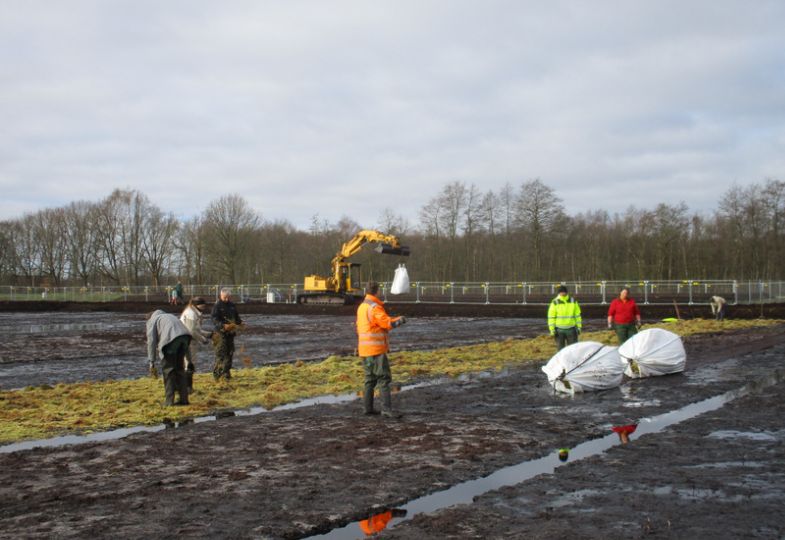 People working on peatland restoration site.