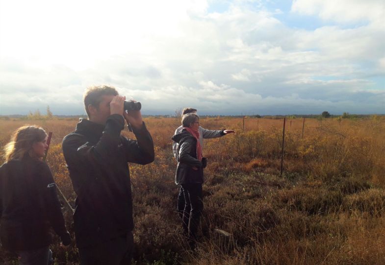 People standing in a bog, one person using binoculars.