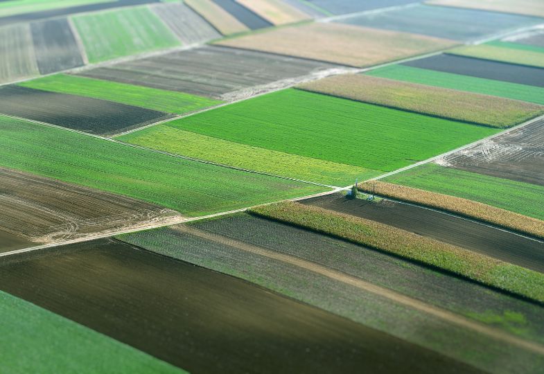 Aerial view of a landscape with square patches of green and brown  farmland.