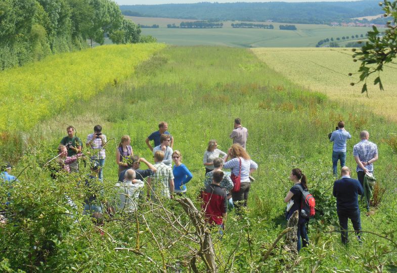 People in a green field, attending a farm walk.