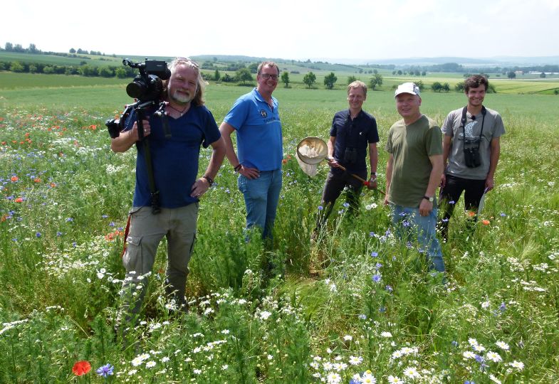 A TV crew amid a wildflower plot in an agricultural landscape.