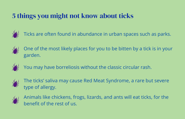 A list of five surprising facts about ticks.