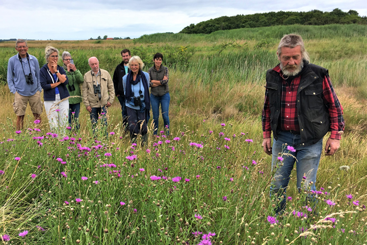 A farmer and some onlookers in a flower field. 