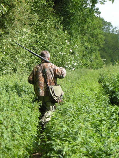 A hunter with a rifle slung over his shoulder walking along a path next to a forest. 