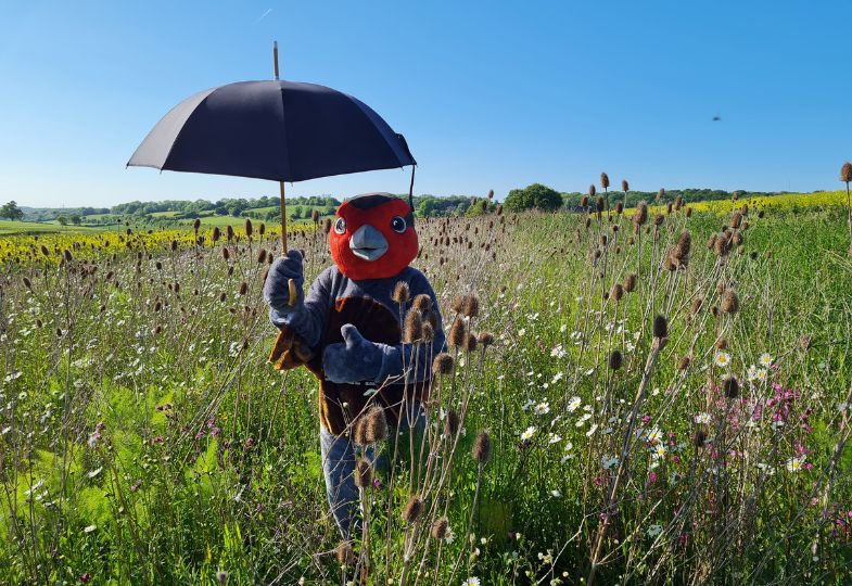 A human wearing a partridge custome standing in a field holding an umbrella.