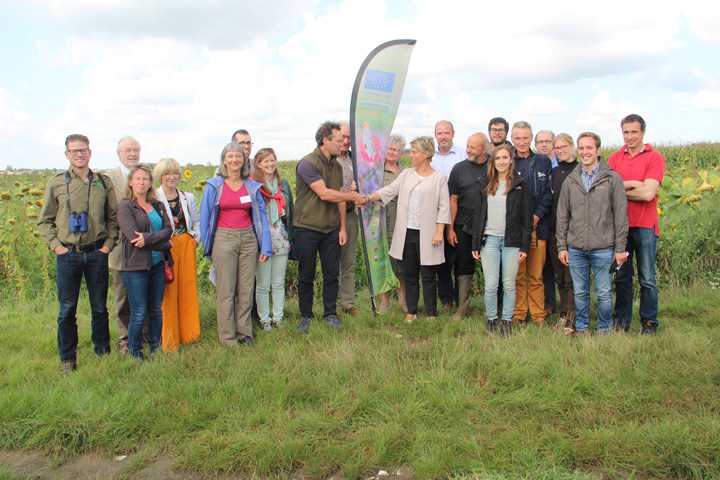 A group of people in a field next to a large beach flag. Two people are shaking hands. 