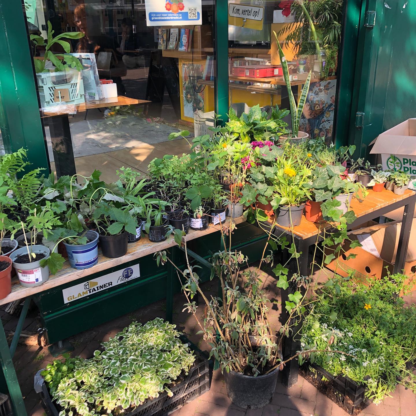 An assortment of plants outside community centre Vogelnest