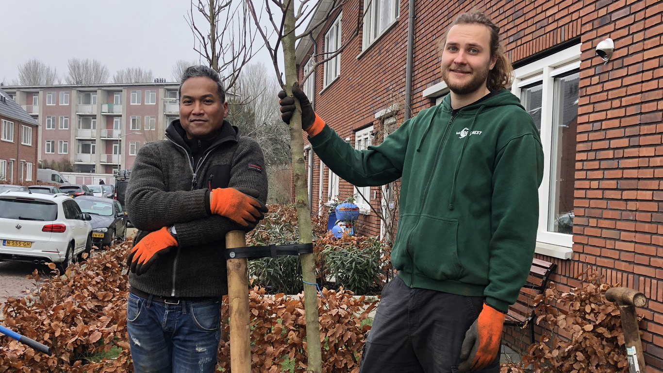 Tree planting around Dordrecht for the Boom Zoekt Grond project