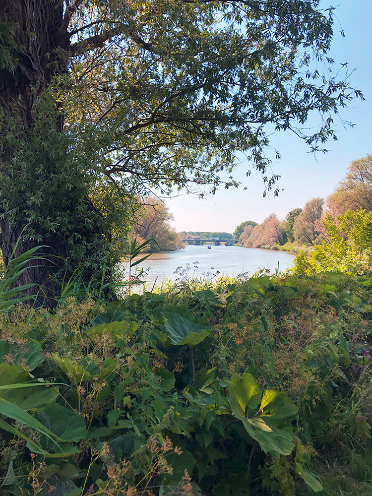 The Wantij River in the Staart neighbourhood