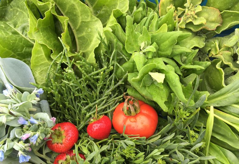 Closeup of tomatoes and green vegetables.