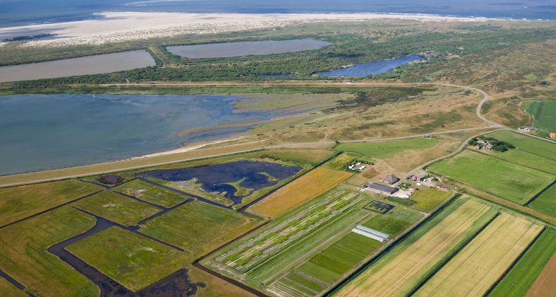 An aerial view of a farmed landscape by the seaside.