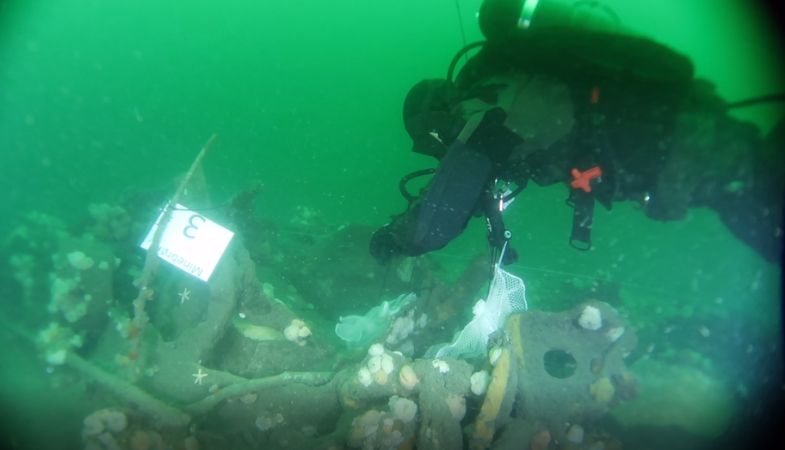 A diver investigating wartime objects at the North Sea floor.
