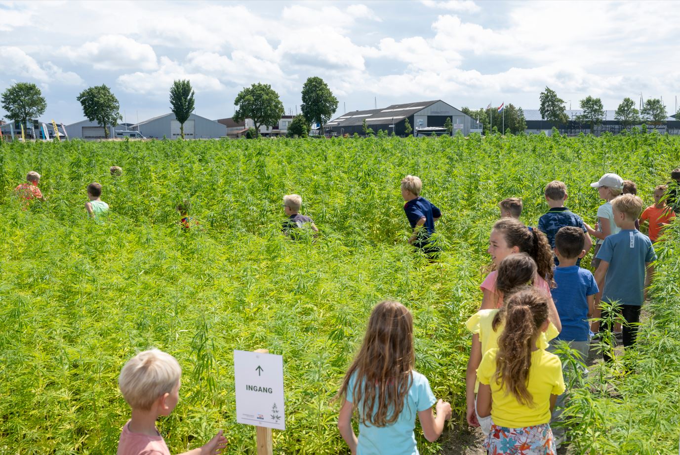 Kids discoer biobased maze