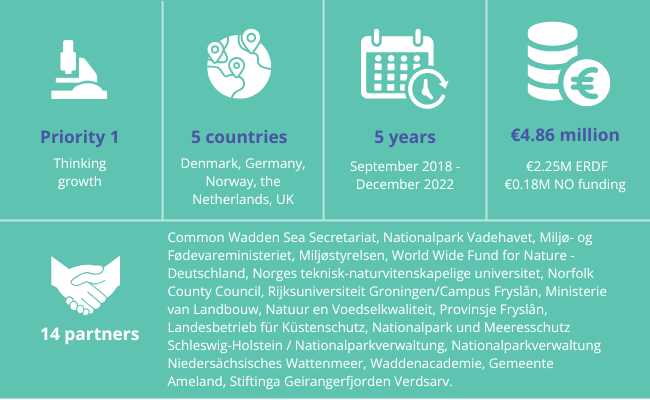 Graphic presentation of core project facts