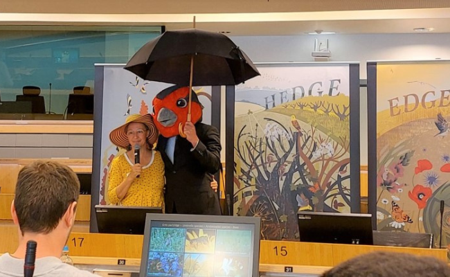 Two people dressed up as a bee and a partridge, holding an umbrella.