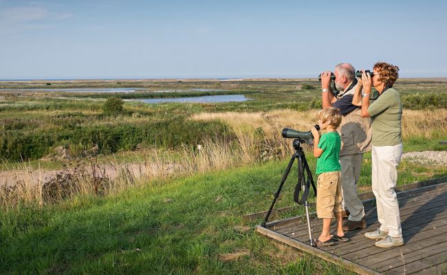 A family of two adults and a child birdwatching in a naural area.