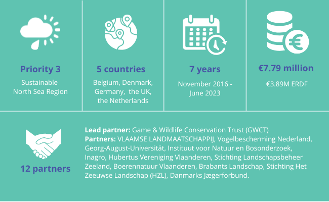 Infographic showing main project facts.